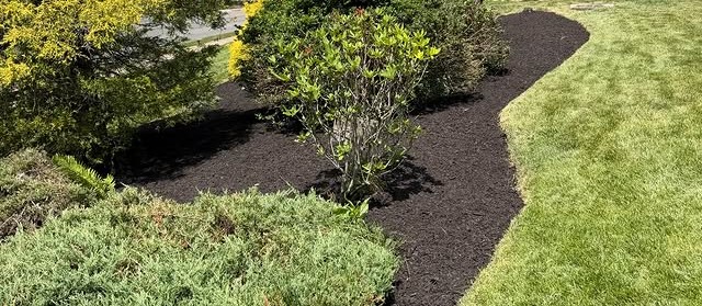 Finished front landscape bed with a crisp curved edge and fresh dark mulch