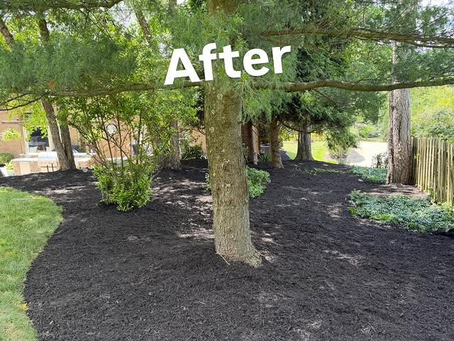 Same bed under mature trees finished with fresh dark mulch